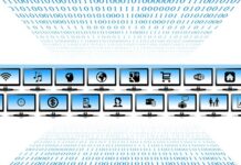 What Can I Look Up with A Social Security Number?