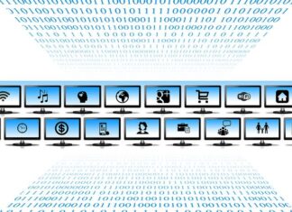 What Can I Look Up with A Social Security Number?