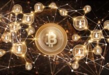 An Insight To How Cryptocurrency Is Mined In The Early Stages Of Its Introduction