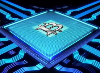 What Are the Crucial Bitcoin Trading Features You Should Know?