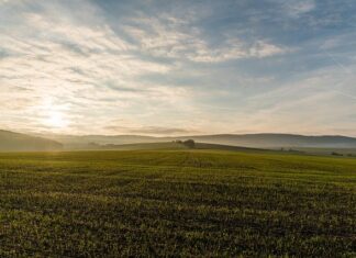 Top Tips For How and When to Irrigate your farmlands?