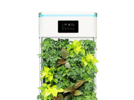 How To Pick The “Best” Air Purifier For Your Specific Allergies