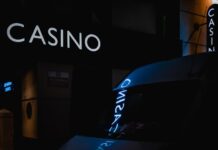 The Beginner’s Guide to Understanding Free Spins