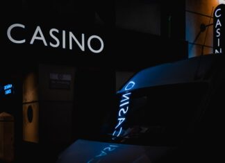 The Beginner’s Guide to Understanding Free Spins