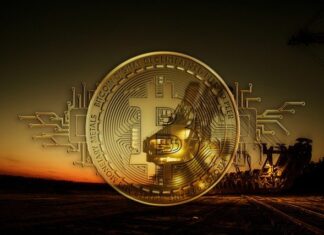 What Is Bitcoin and Why Is It So Valuable?
