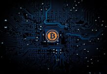 Bitcoin and Telecommunications : What are the various facets of it?