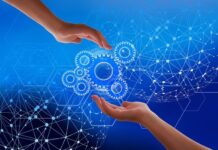 How does the world of blockchain networks work?