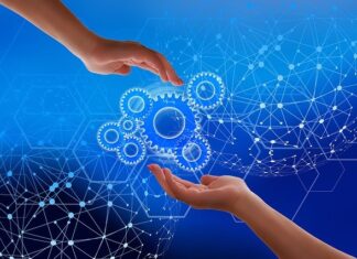 How does the world of blockchain networks work?