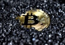 The Diversity In Bitcoin – Luxury Brands Commencing The Business With Cryptocurrency gold and black round emblem