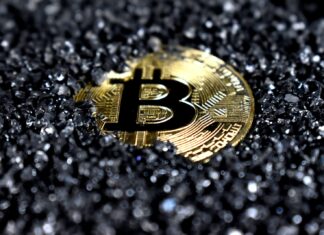 The Diversity In Bitcoin – Luxury Brands Commencing The Business With Cryptocurrency gold and black round emblem
