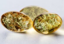 How Can You Use CBD for Senior Dogs?