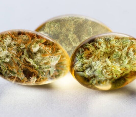How Can You Use CBD for Senior Dogs?