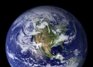 Want to Help Save the Planet? Be a More Intentional E-Commerce Shopper