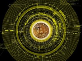 The Next New Thing in the Cryptocurrency Market is Being Launched