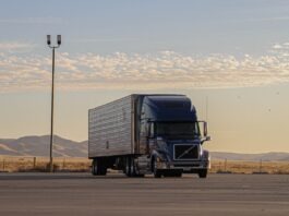 Tips on How to Prepare for the CDL Exam black truck on road during daytime