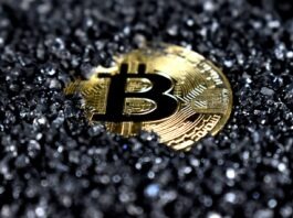 What is Halving and Why it Matters? gold and black round emblem