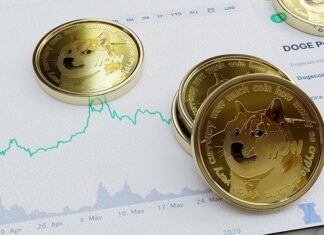 The Rise of Memecoins: Shiba Inu and Dogecoin