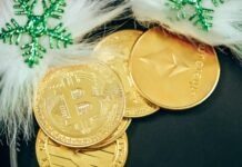 Bitcoin vs Ethereum: Which Is the Better Bet?