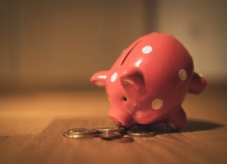 4 Investment Plans to Explore in 2022 pink pig coin bank on brown wooden table