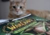 Getting the Wastewarped Deathwalker and Other Mounts in WoW brown tabby cat on green and white textile