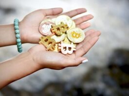 5 Cryptocurrencies to Trade in 2022 person holding three brown and white cookies
