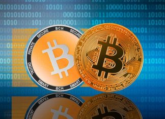 BTC VS BCH Mining Profitability: Which is Better?