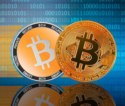 BTC VS BCH Mining Profitability: Which is Better?