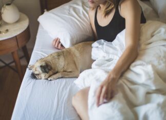 Accommodations for your next vacation: 5 things to consider