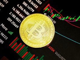 Are you investing in Bitcoin? Then bitcoin code is the best tool for you! gold round coin on black surface