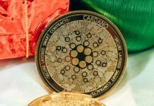 Is Cardano Coin a Good Investment?