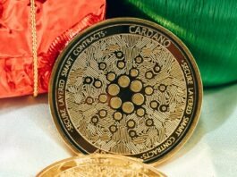 Is Cardano Coin a Good Investment?