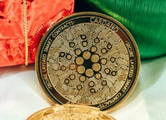 Is Cardano Coin a Good Investment?