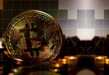 Why Bitcoin Is a Private Companies Instrument?