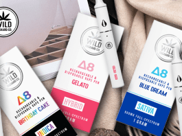 Delta 8 Disposable Vape Pens vs. Cartridges: Which One Should You Choose?