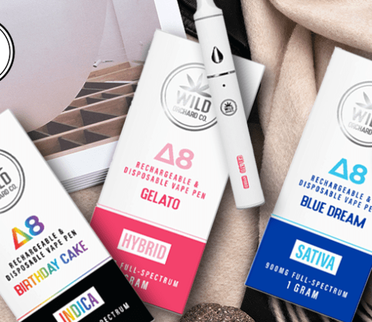 Delta 8 Disposable Vape Pens vs. Cartridges: Which One Should You Choose?