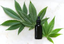 How CBDP Effects People green cannabis leaves and black glass drops bottle