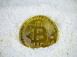 Bitcoin Power – Contributing To Different Arena gold and black round coin