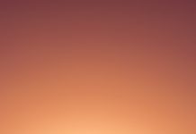 Starting A New Life Post Addiction: 10 Things That Can Help silhouette of personr