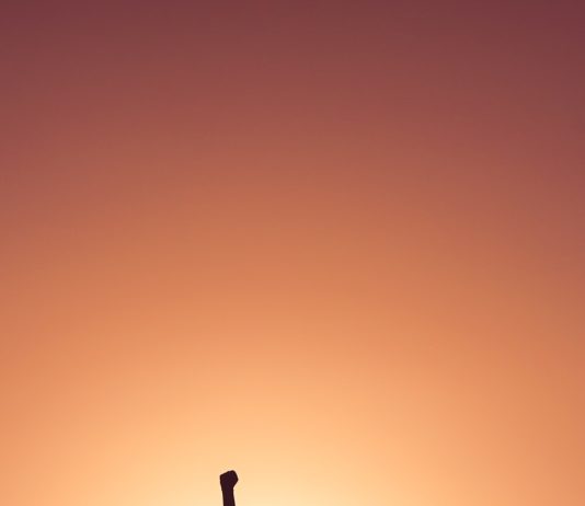 Starting A New Life Post Addiction: 10 Things That Can Help silhouette of personr