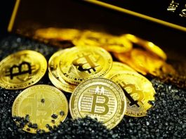 Why Do People Love to Use Bitcoin as Digital Currency? gold and silver round coins