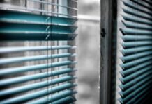 How to Choose the Color of Your Blinds green window blinds