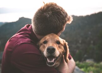 6 Questions to Ask When Buying Dog Insurance photo of man hugging tan dog