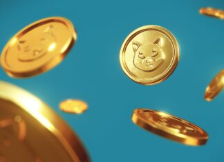 Shiba Inu Coin – Everything You Need To Know
