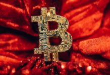 Bitcoin Payments – Why Everyone Should Start Accepting?