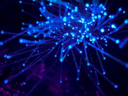 Ways The Internet Has Affected Passive Income Streams purple and blue light digital wallpaper
