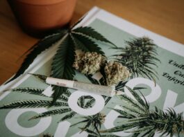 A Beginners Guide to Smoking Cannabis white and brown cigarette stick on white and black floral textile