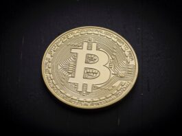 How to compare bitcoin with DOGE? Bitcoin