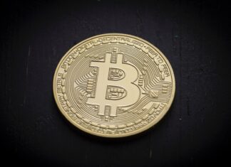 How to compare bitcoin with DOGE? Bitcoin