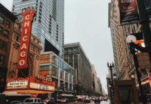 Learn 11 Interesting Facts About the State of Illinois different vehicles on road near Chicago city buildings