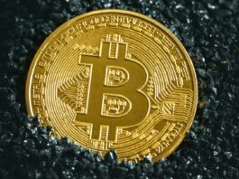 Critical differences between digital Yuan and bitcoin